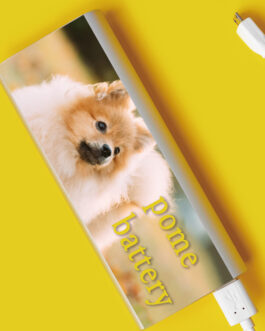 モバイルバッテリー